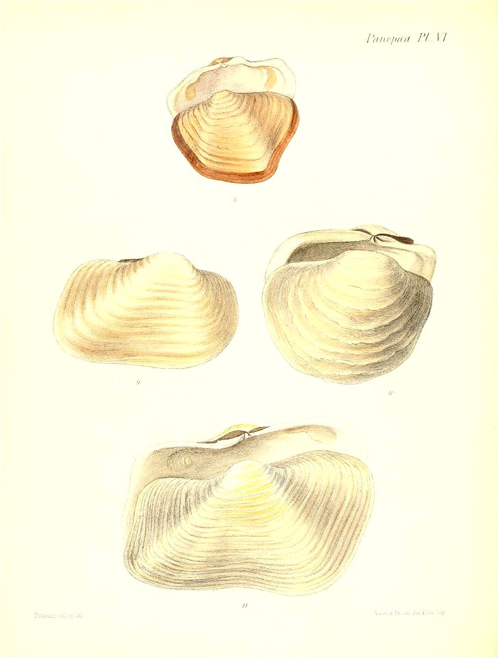 n173_w1150