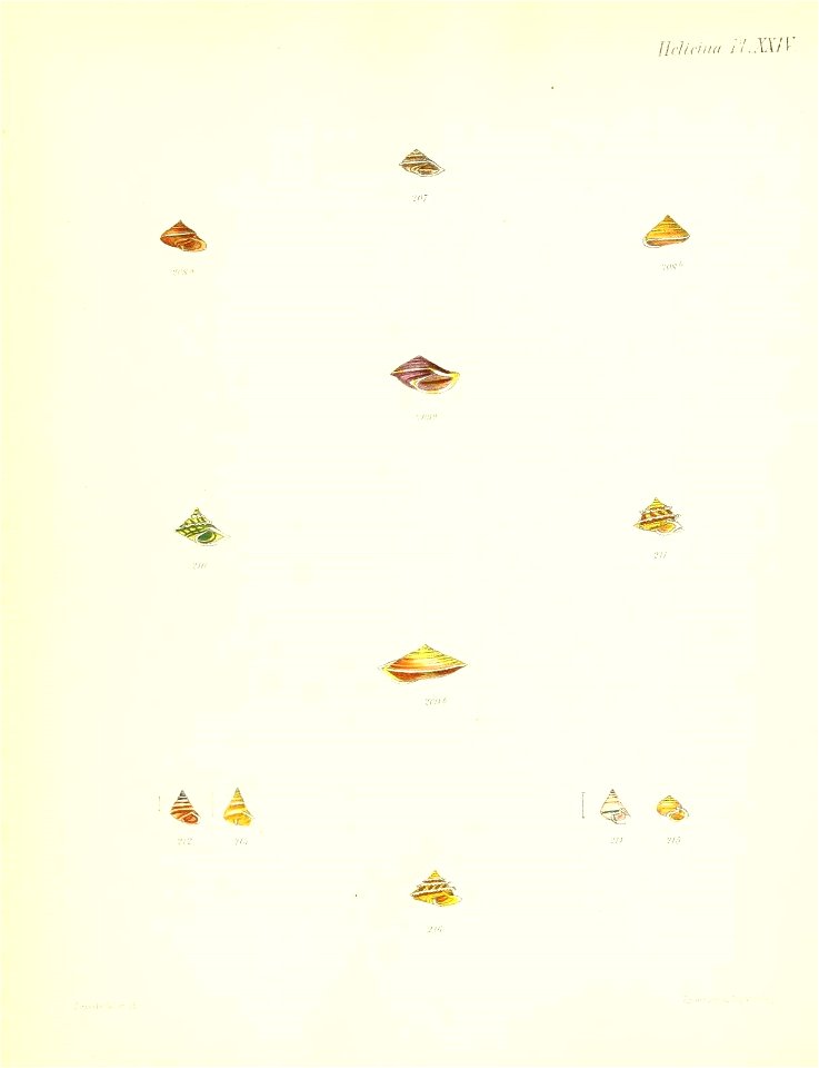 n103_w1150