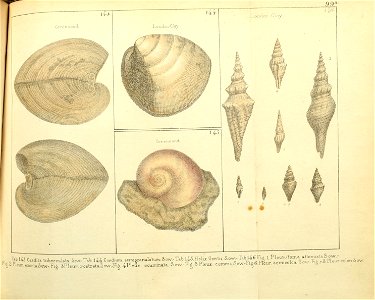 n218_w1150