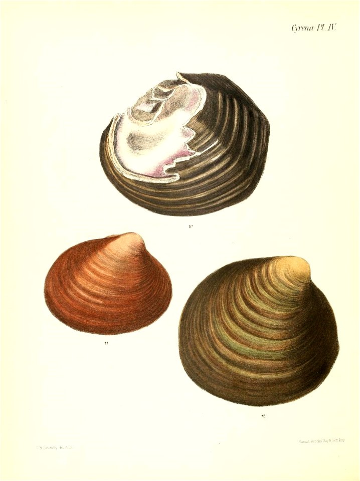 n485_w1150