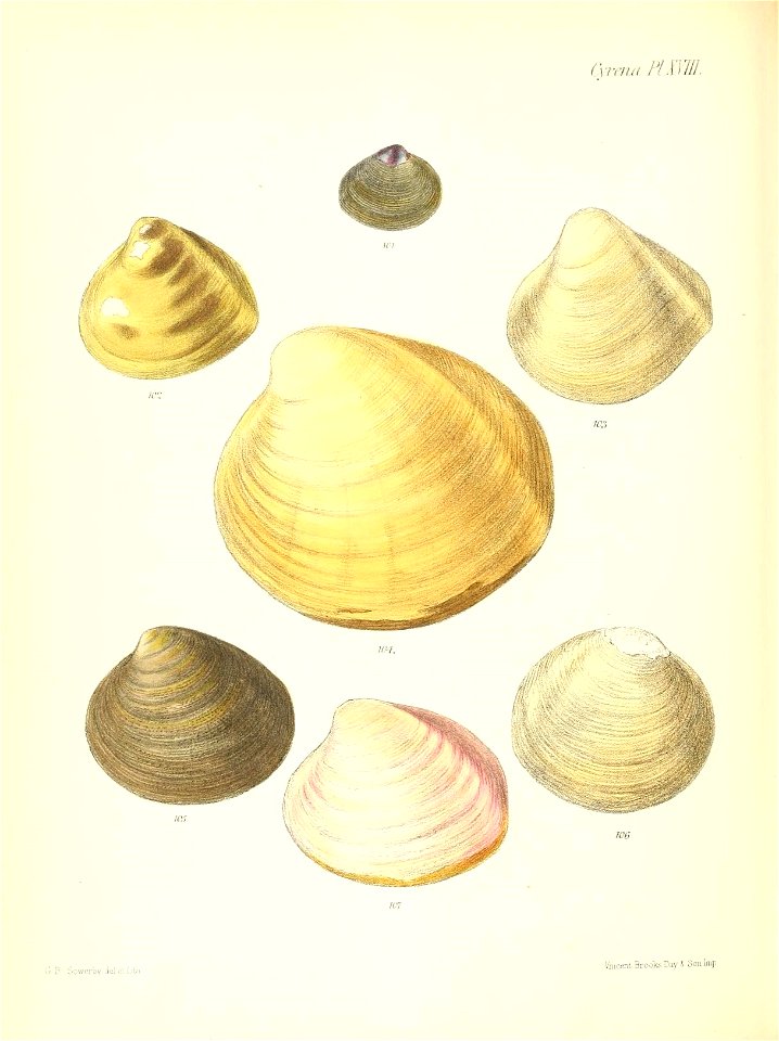 n541_w1150