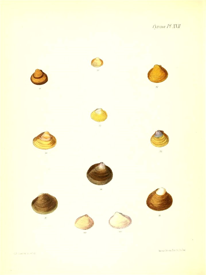 n537_w1150