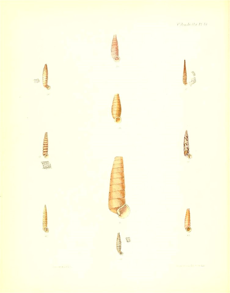 n133_w1150