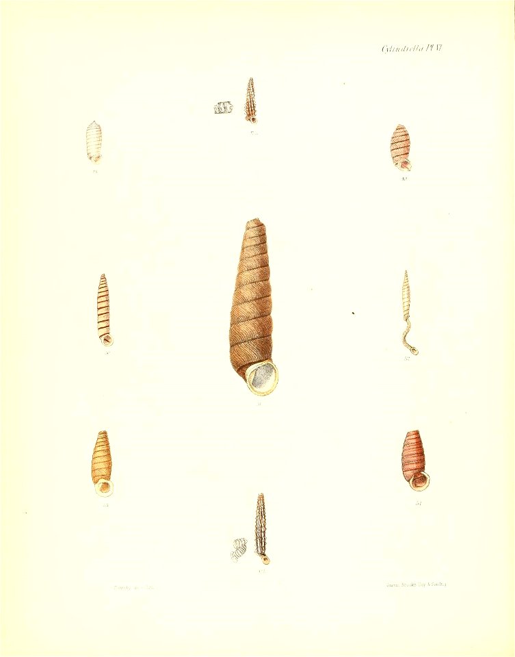 n129_w1150
