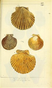n578_w1150