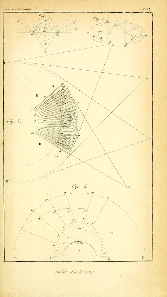n676_w1150