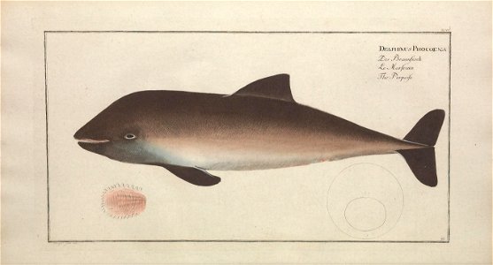 n155_w1150