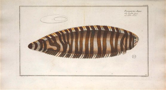 n254_w1150