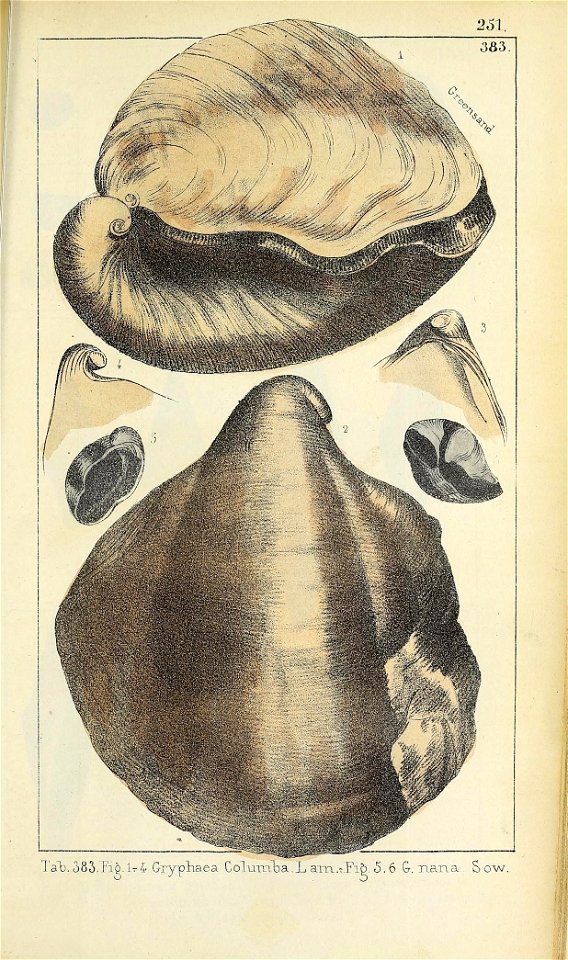 n564_w1150