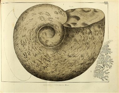 n534_w1150