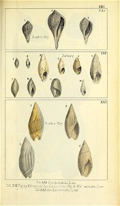 n496_w1150