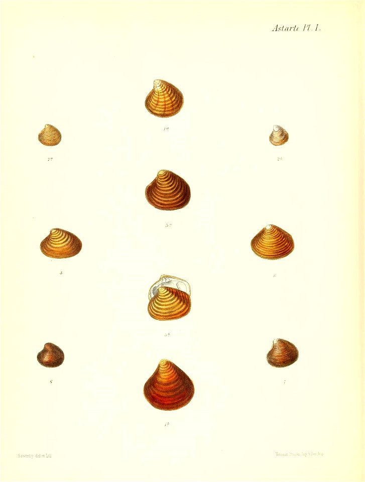 n693_w1150