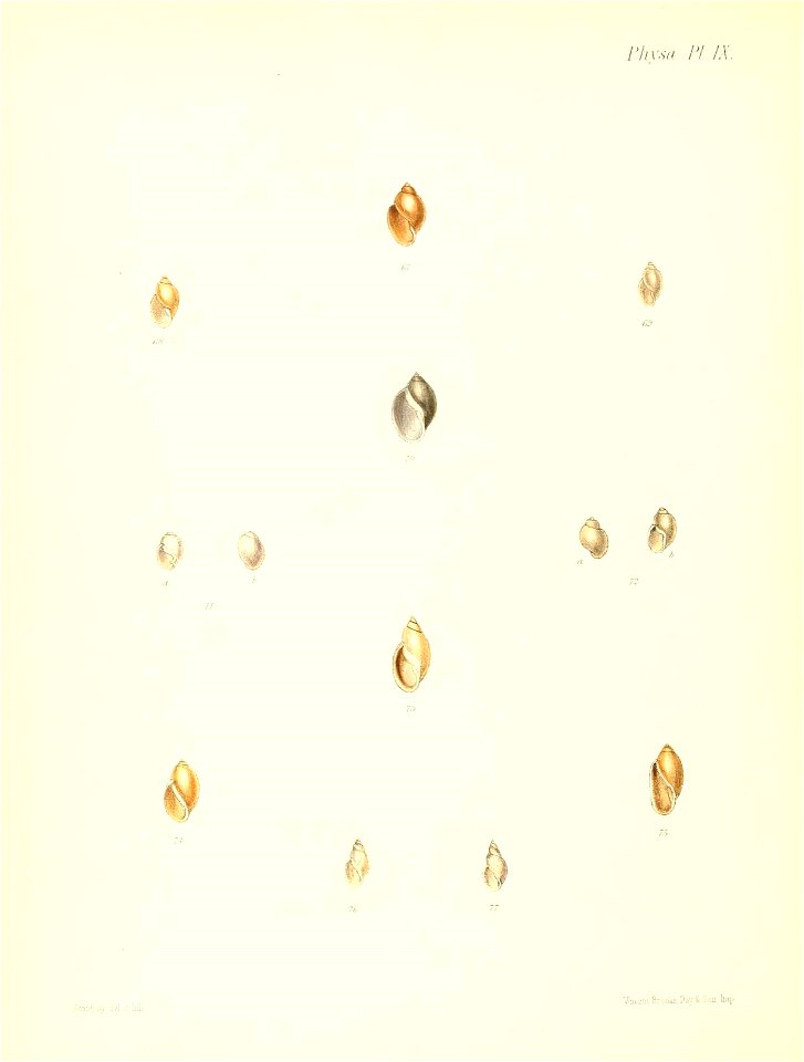 n621_w1150