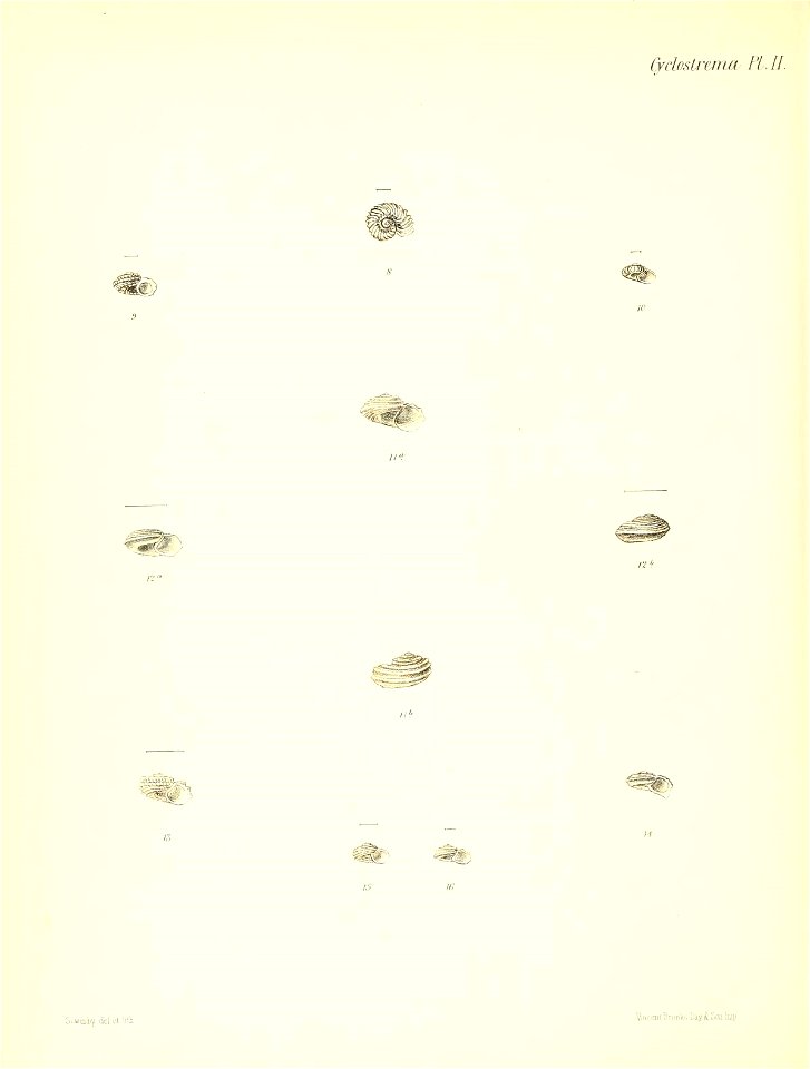 n553_w1150