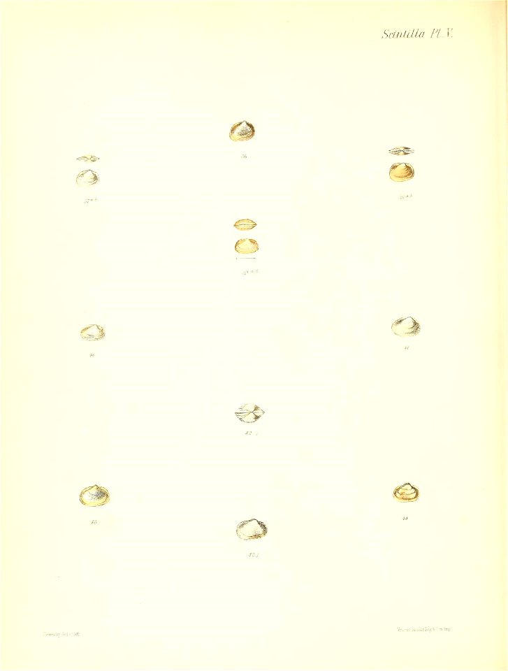 n407_w1150