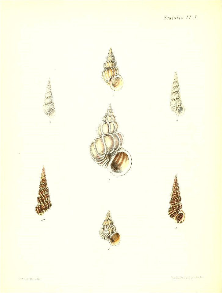n179_w1150