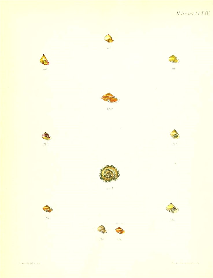 n107_w1150