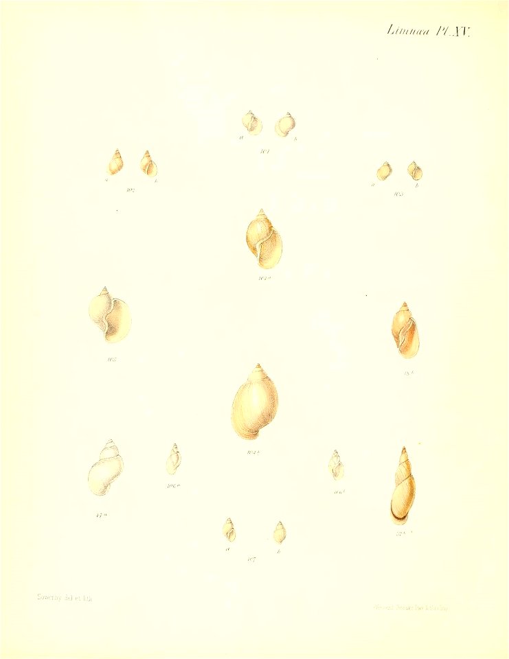 n513_w1150