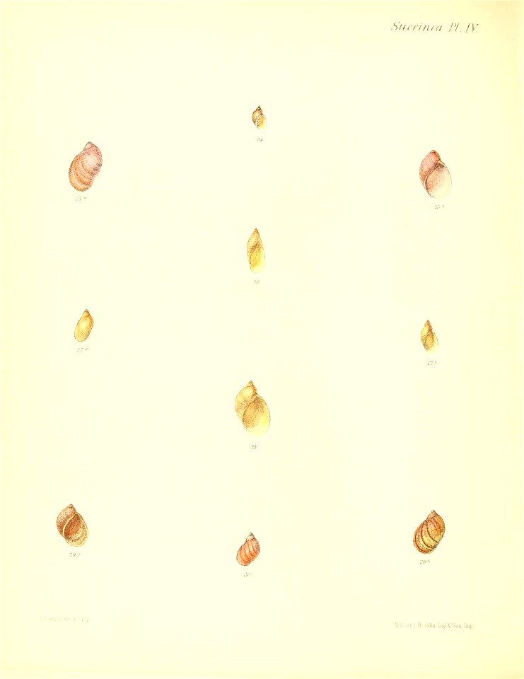 n383_w1150