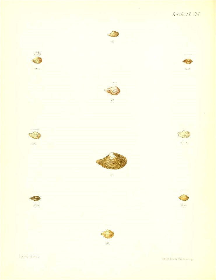 n309_w1150