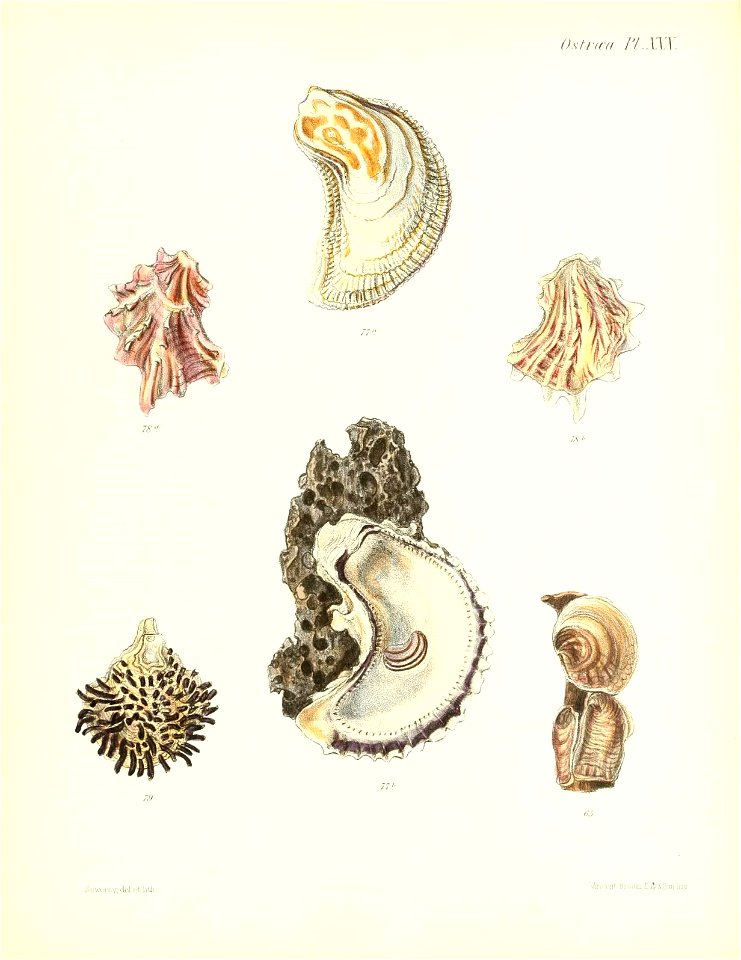 n173_w1150