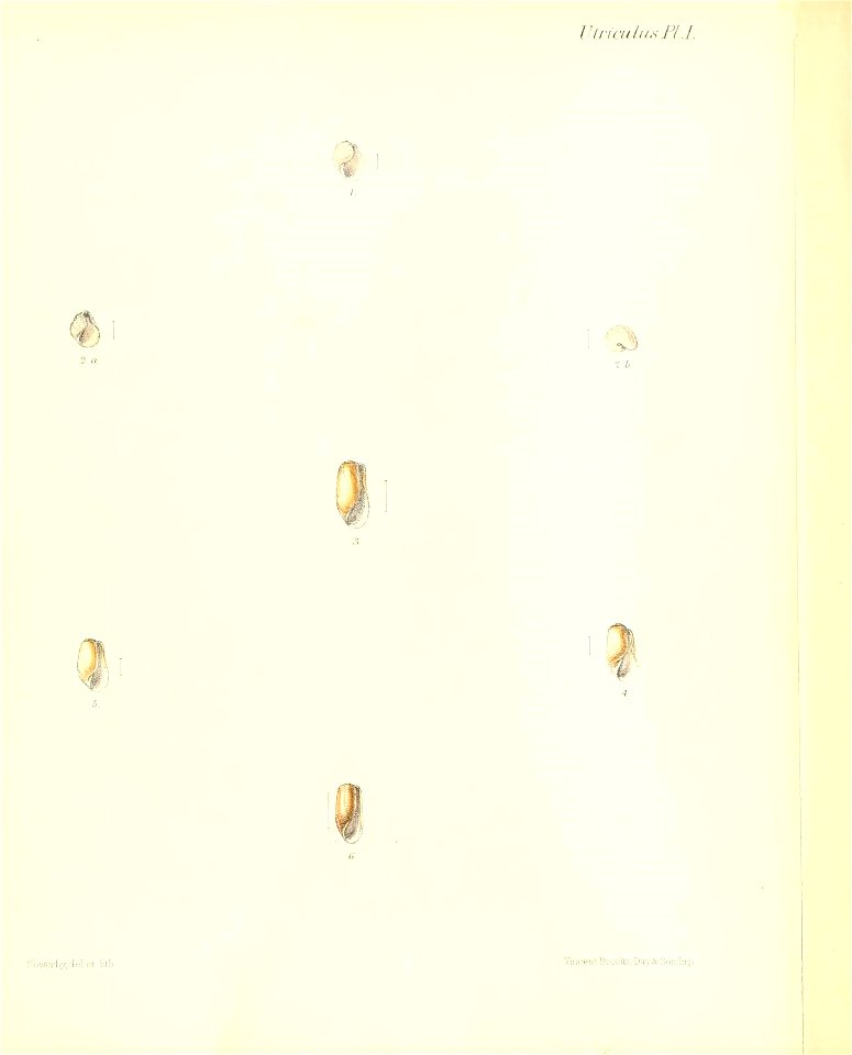 n51_w1150