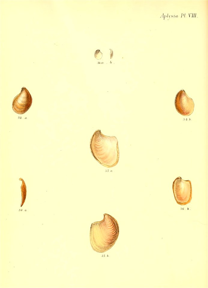 n495_w1150