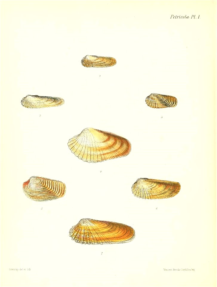 n677_w1150