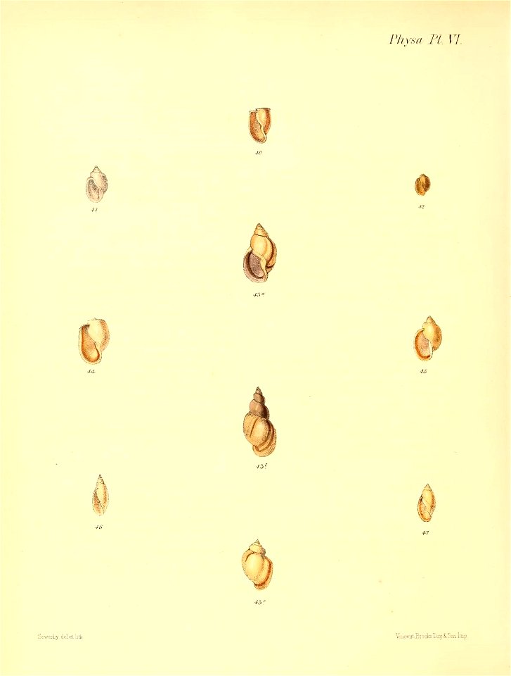 n609_w1150