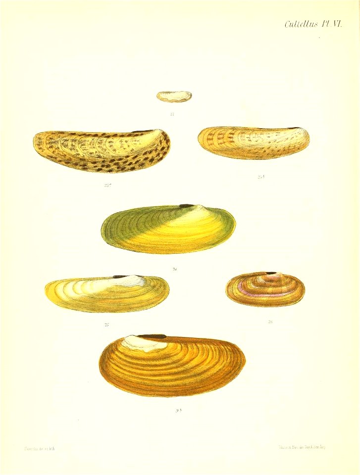 n537_w1150