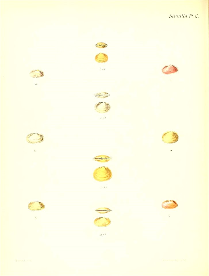 n395_w1150