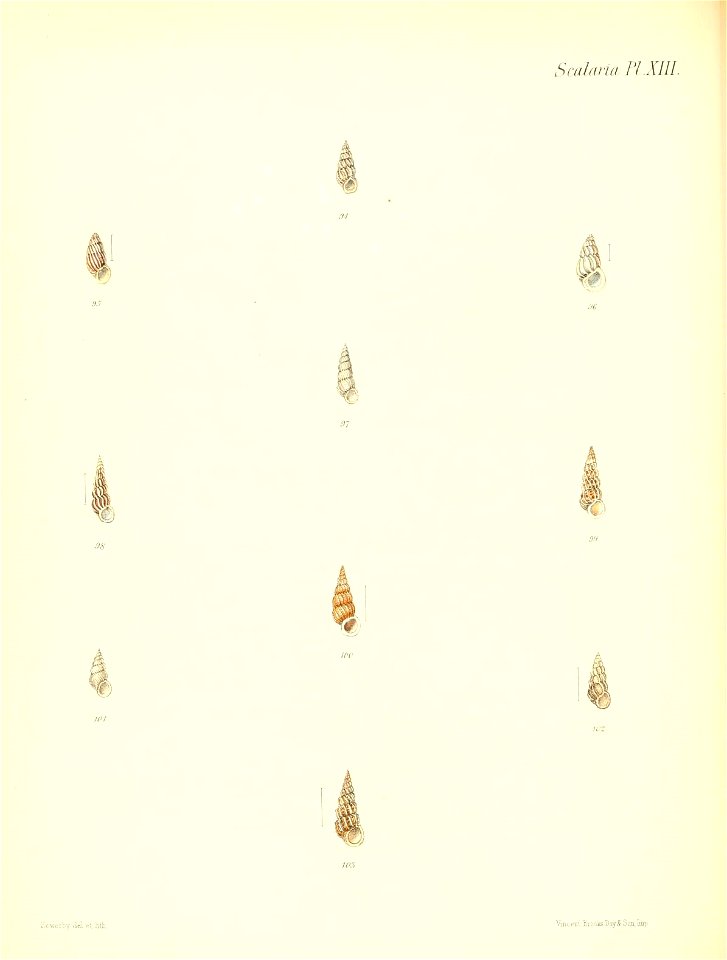 n227_w1150