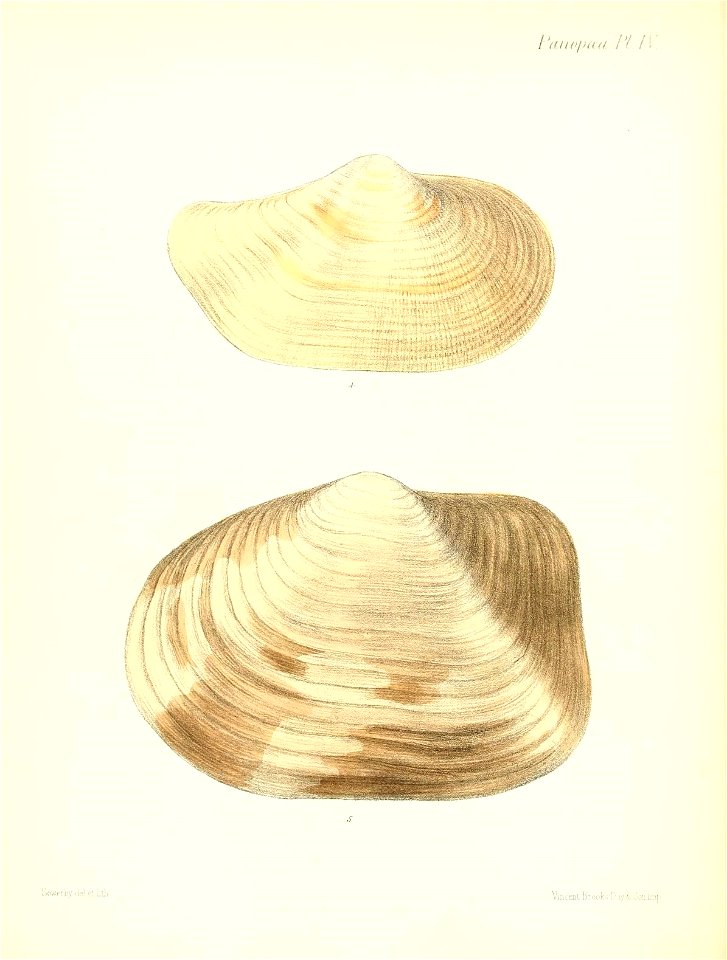 n165_w1150