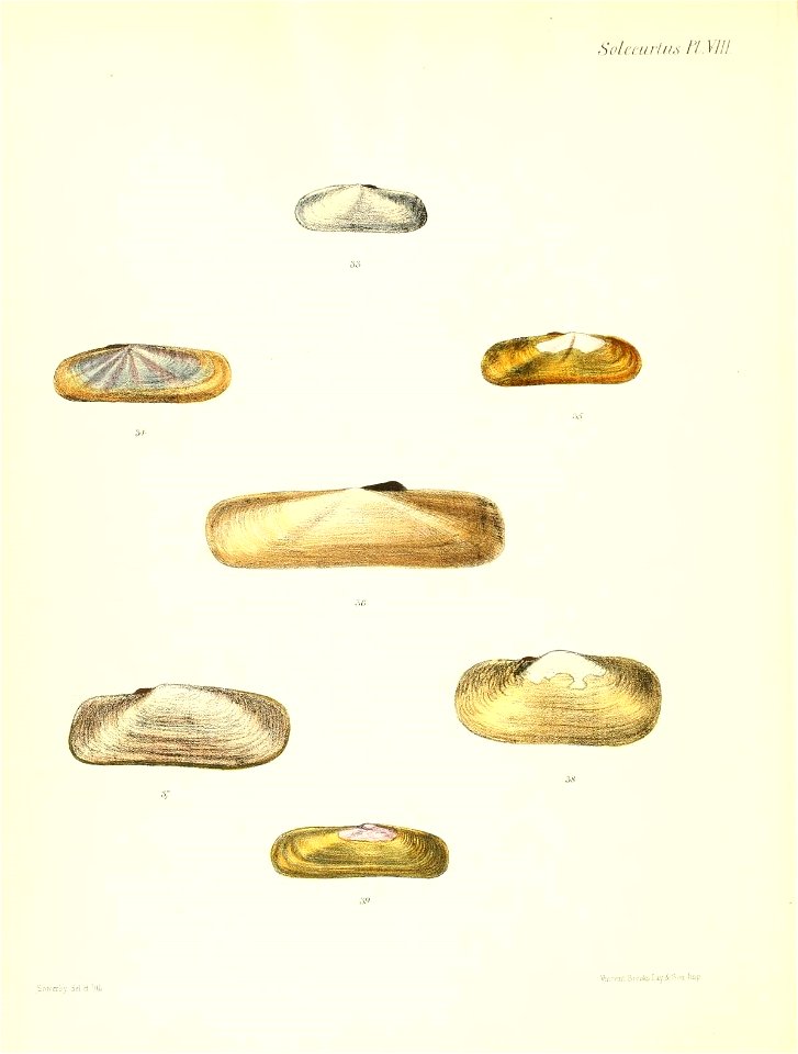 n669_w1150