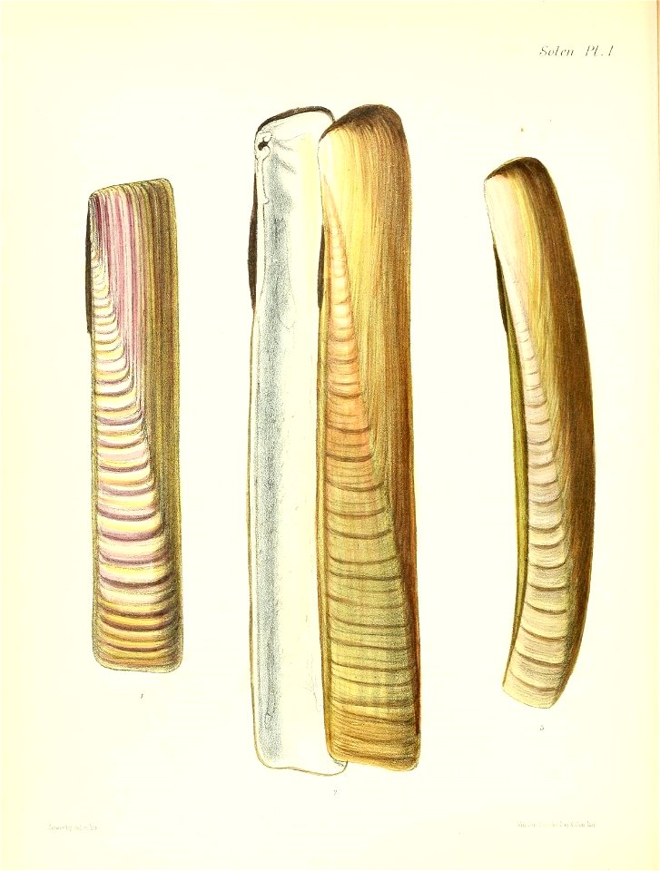 n463_w1150