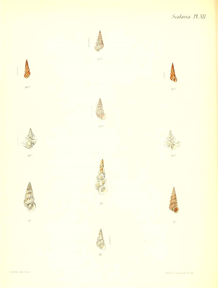 n223_w1150