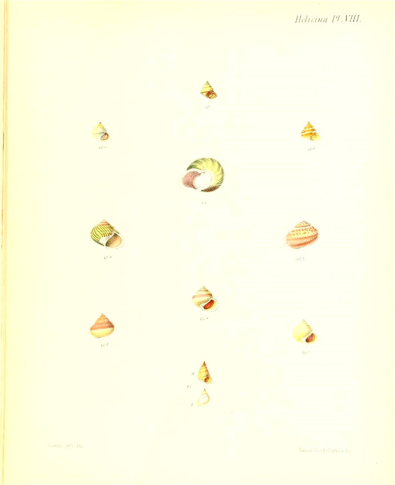 n39_w1150