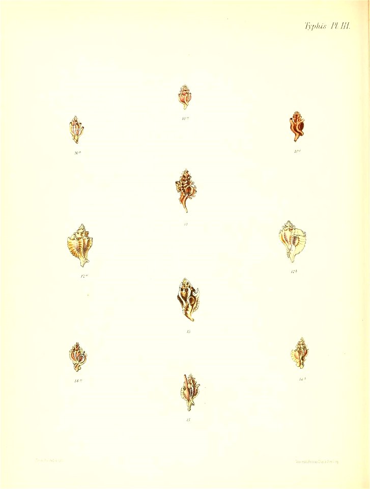 n373_w1150