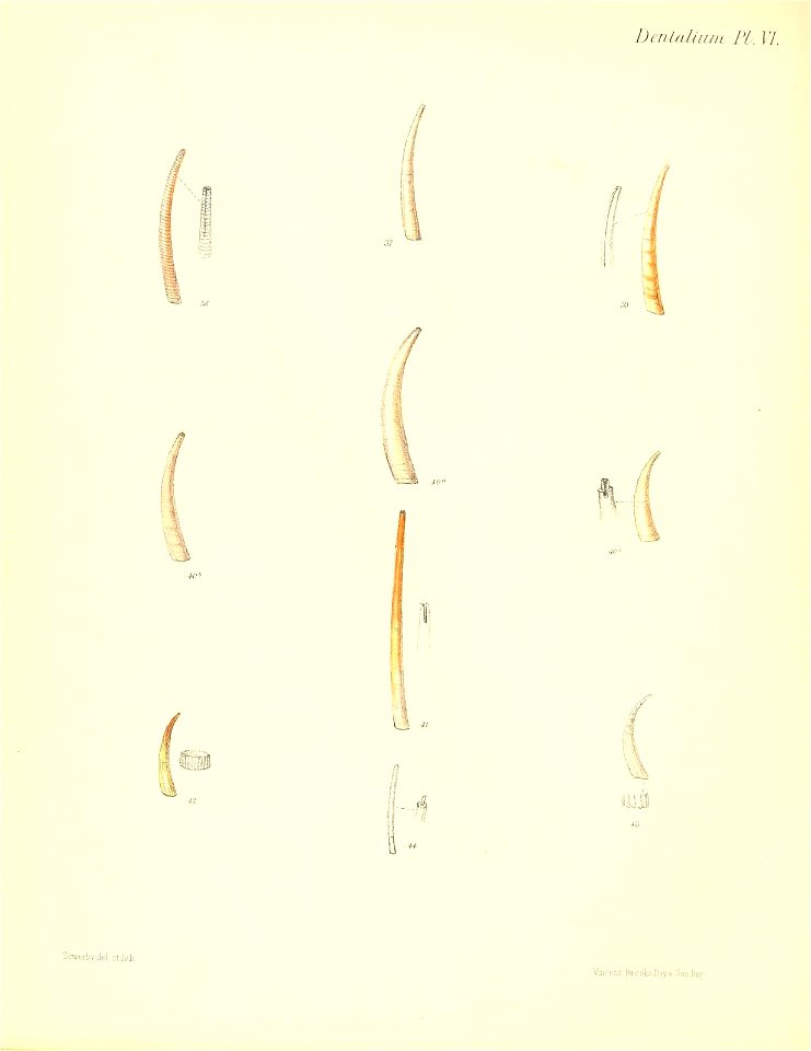 n565_w1150