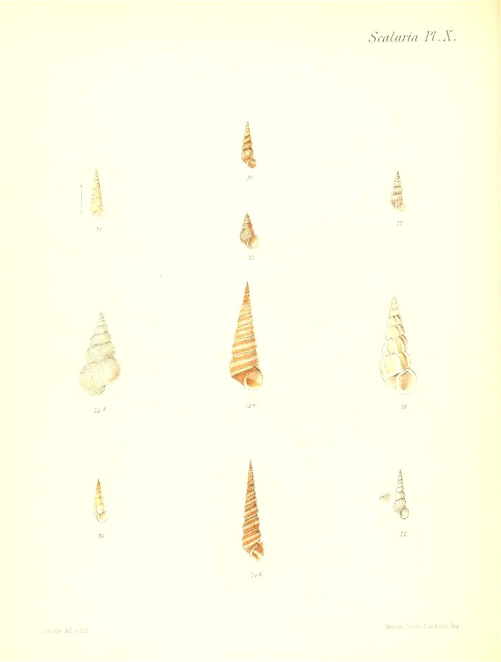 n215_w1150