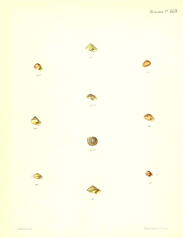 n143_w1150