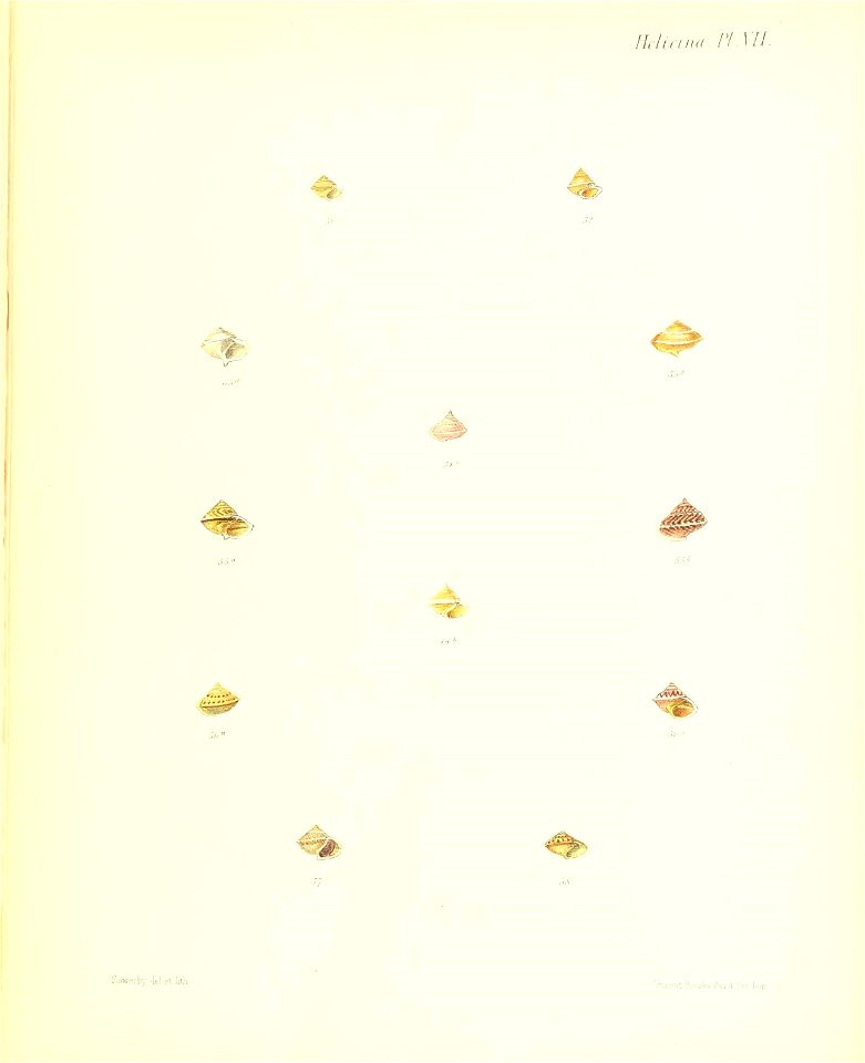 n35_w1150