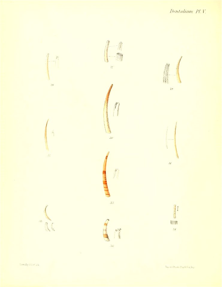 n561_w1150