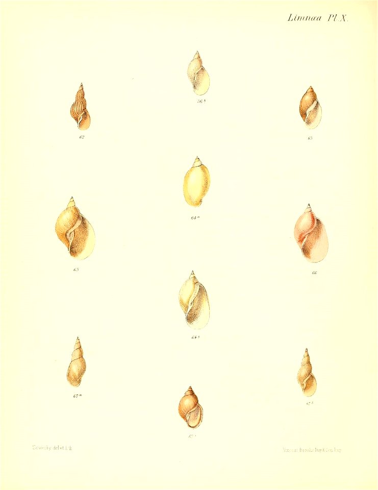 n493_w1150