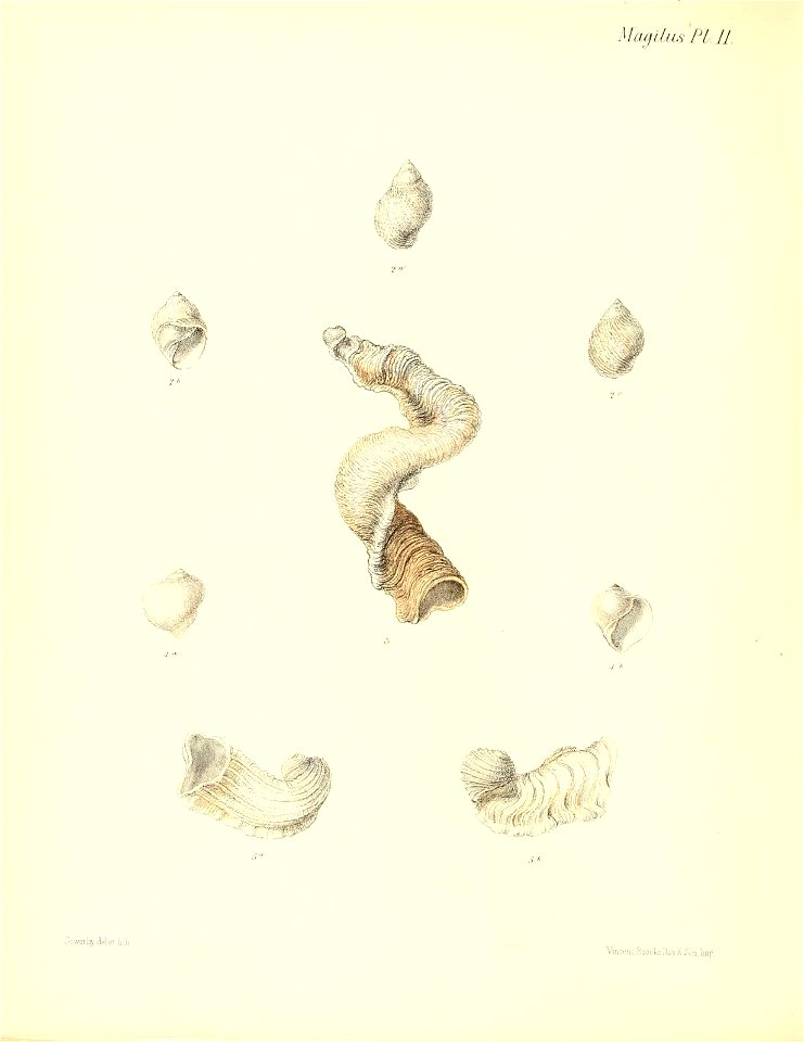 n427_w1150