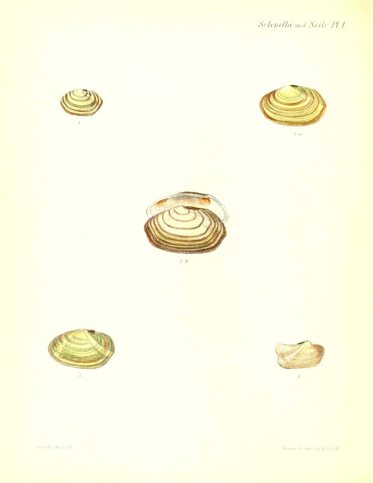n359_w1150