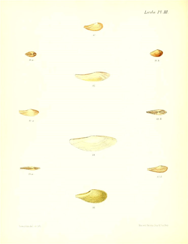 n289_w1150