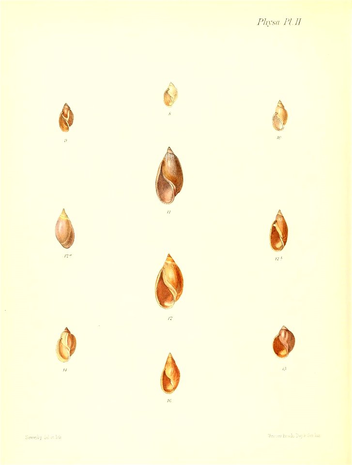 n593_w1150