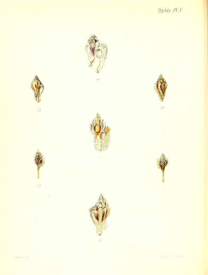 n365_w1150