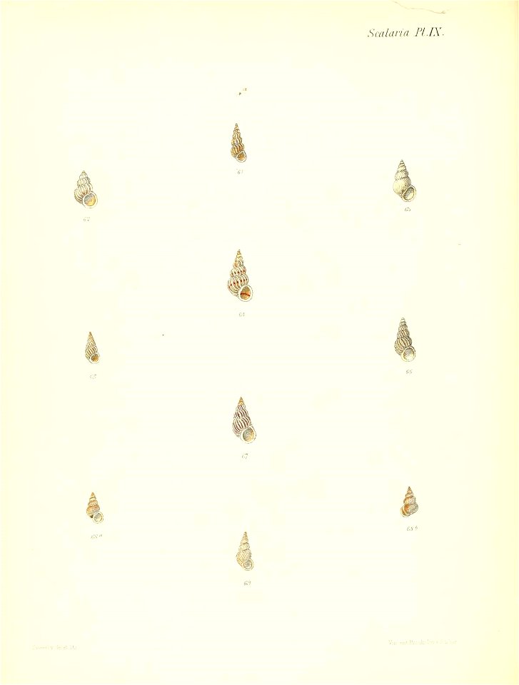 n211_w1150